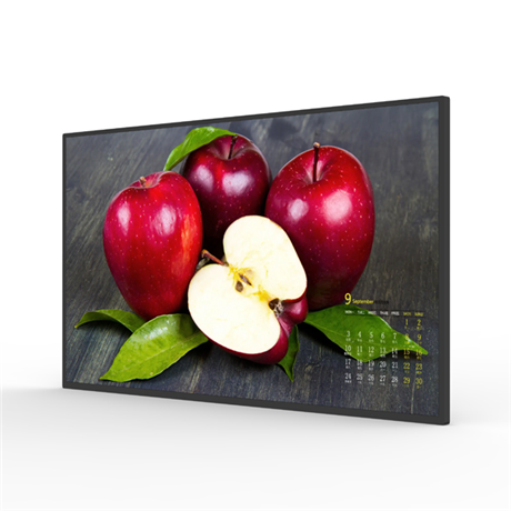 75"Factory price High temperature resistant Industrial open frame display